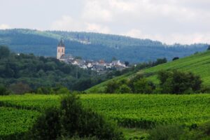 Rauenthal im Rheingau